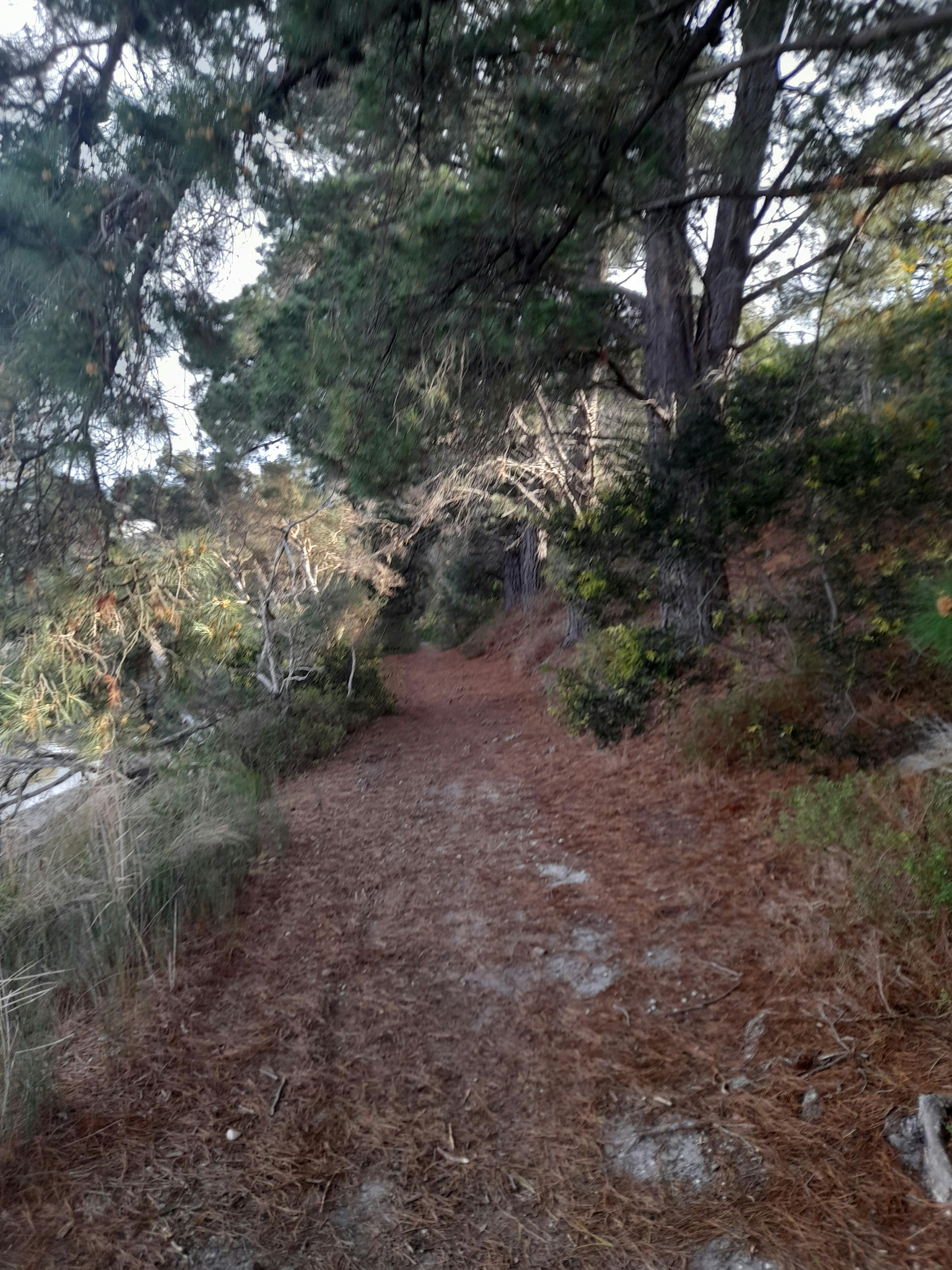 Dinni Birraark site walk on 4 August 2023