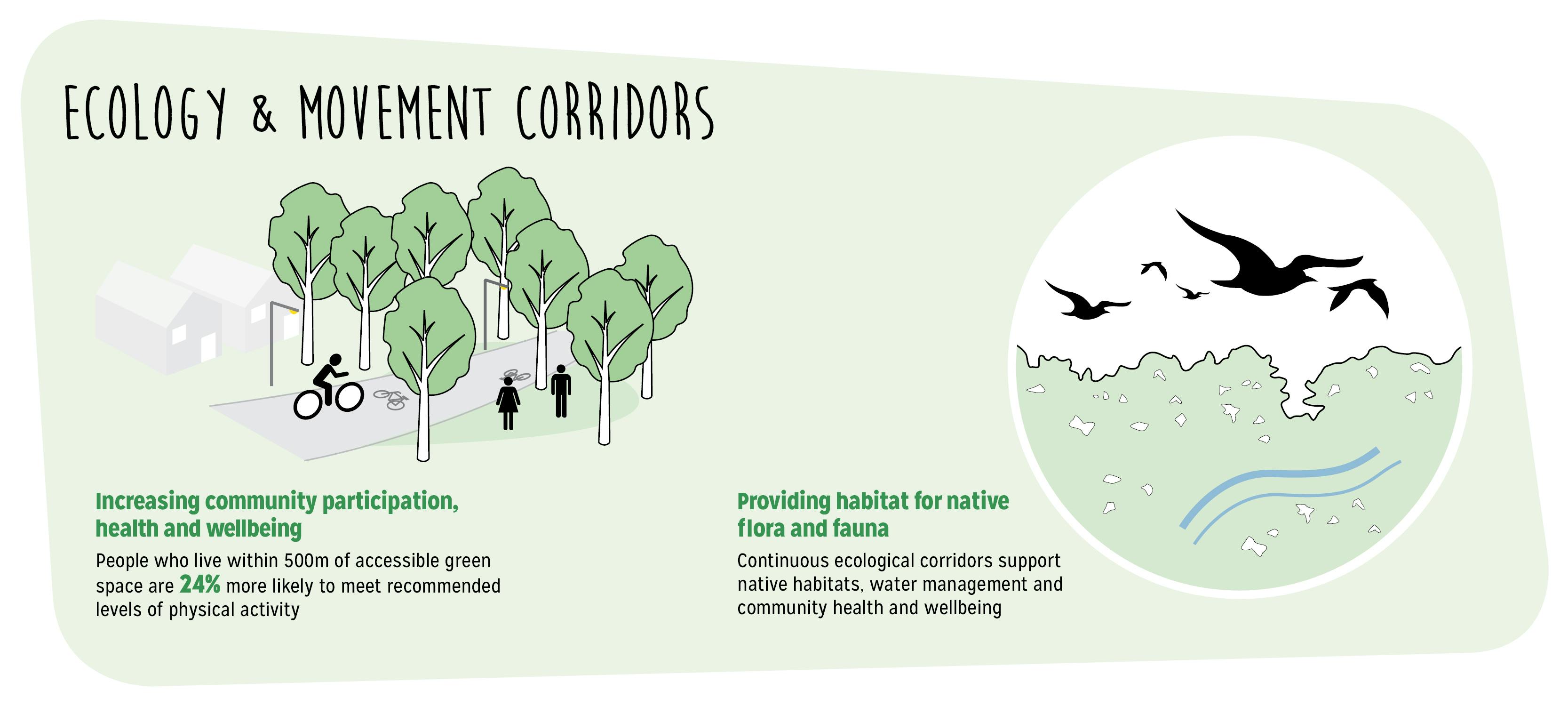 Ecology and movement corridors