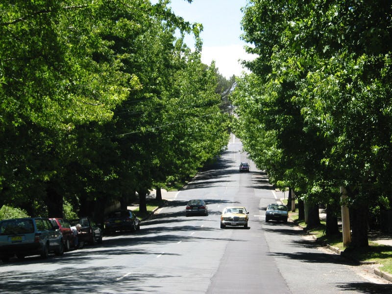 Wentworth Avenue, Blackheath