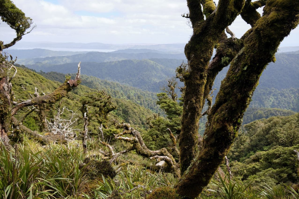 Views from our Regional Parks