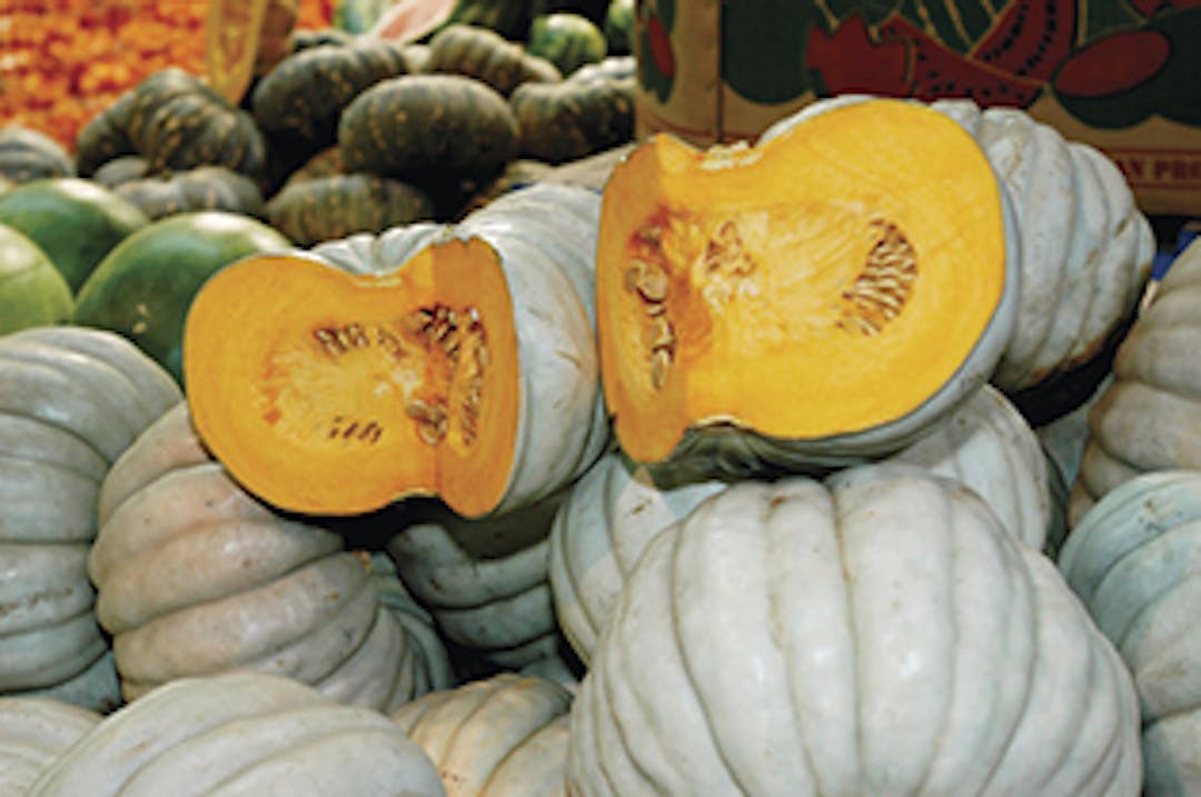 Image of pumpkins