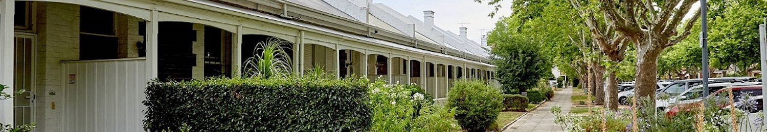 View of a row of heritage cottages in Adelaide on a street lined by plane trees.