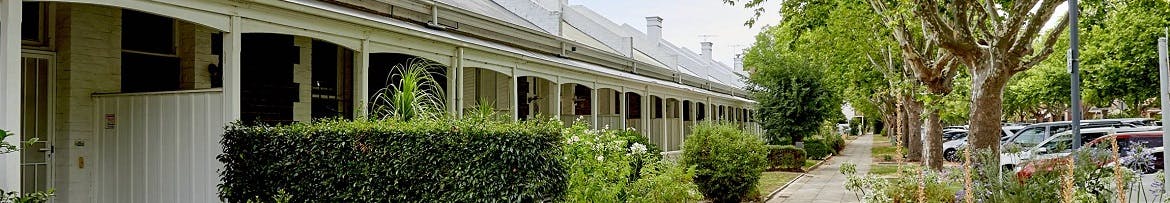 View of a row of heritage cottages in Adelaide on a street lined by plane trees.