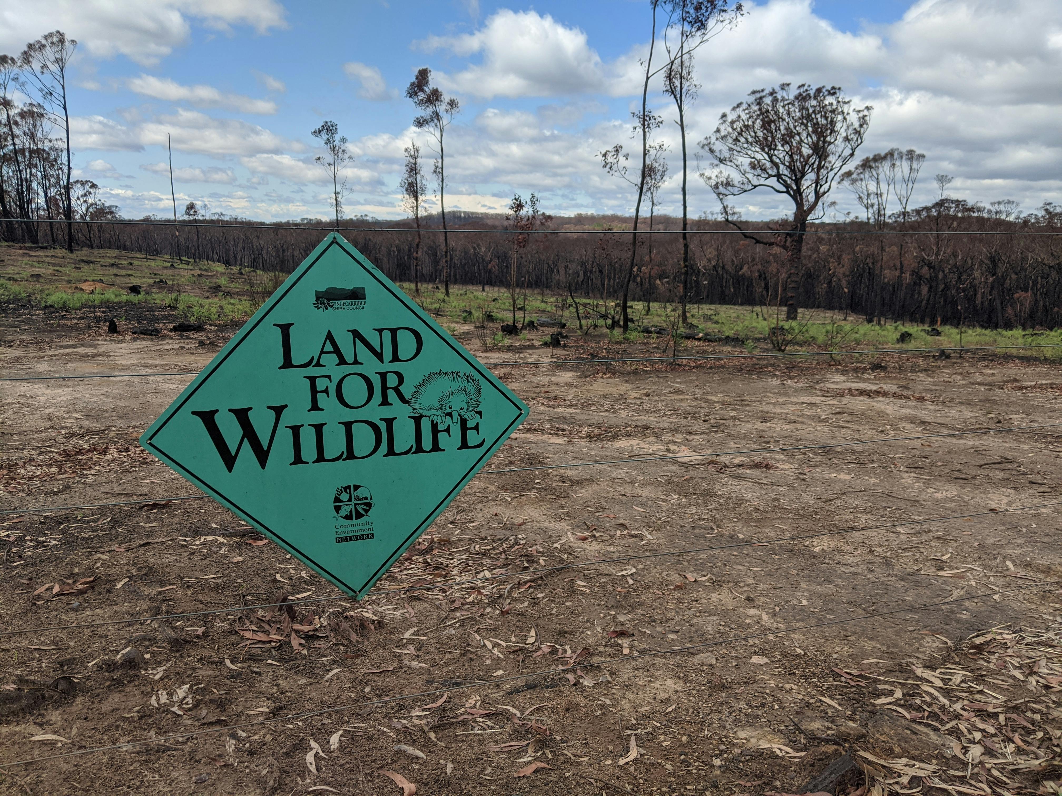 Land for Wildlife is here to help you recover