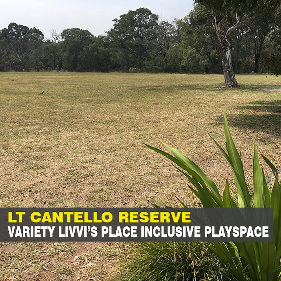 LIVVI"S PLACE LT CANTELLO RESERVE