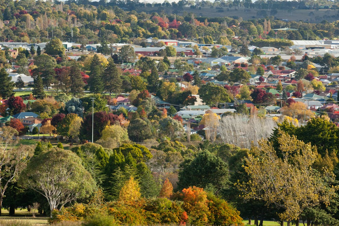 Tree top view of Armidale and distant CBD