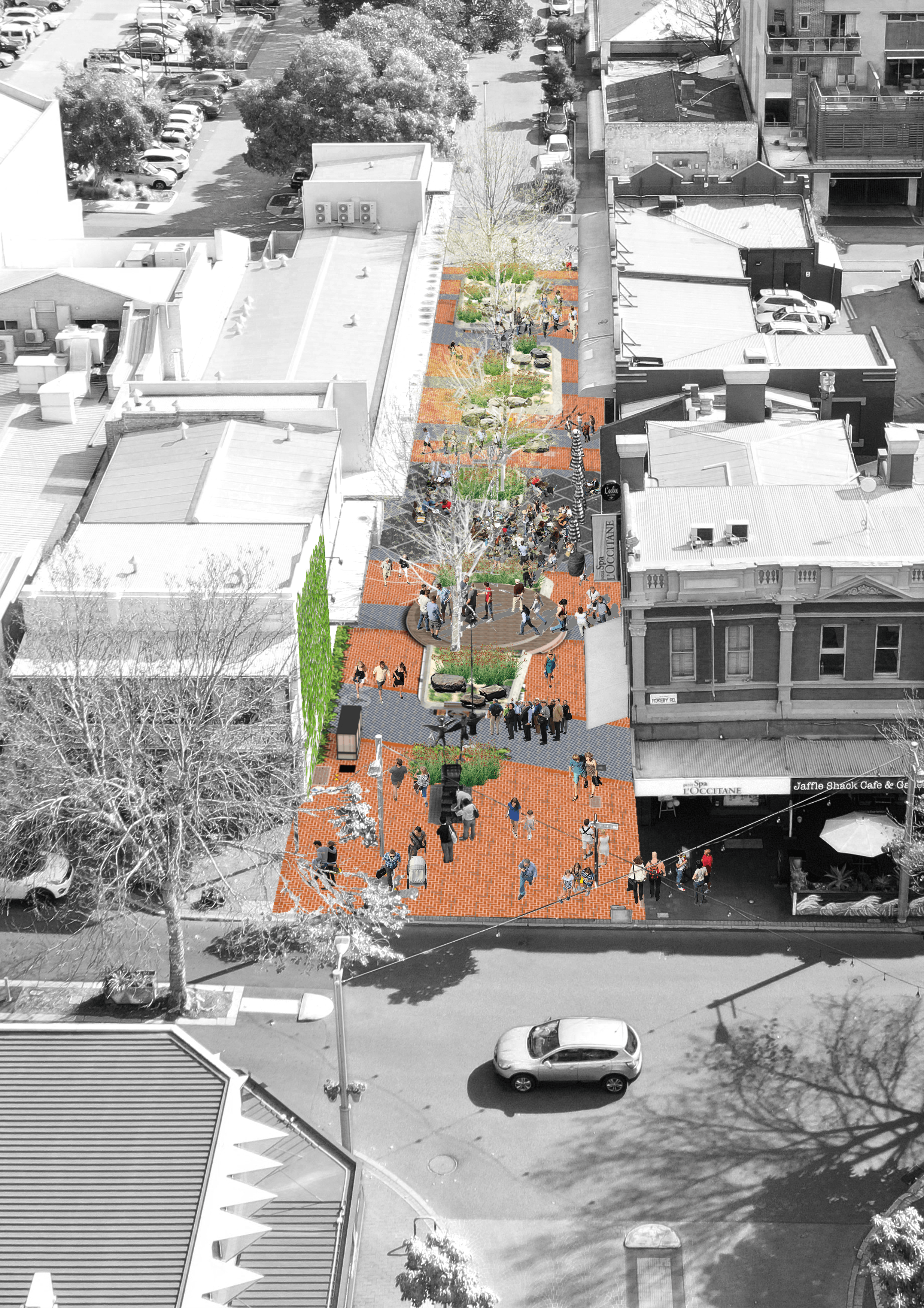 Forrest Walk Daytime