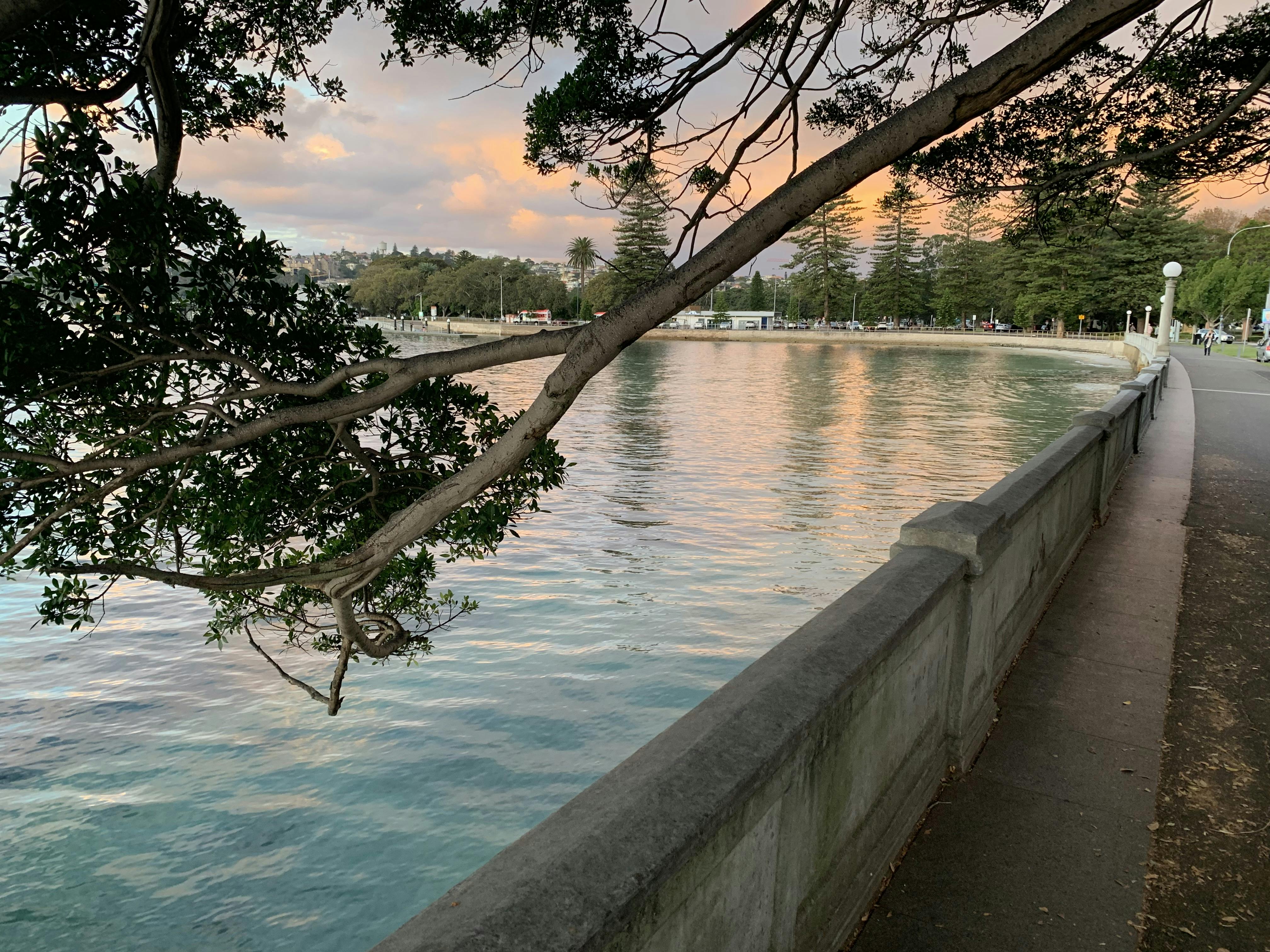 Rose Bay Promenade at dusk