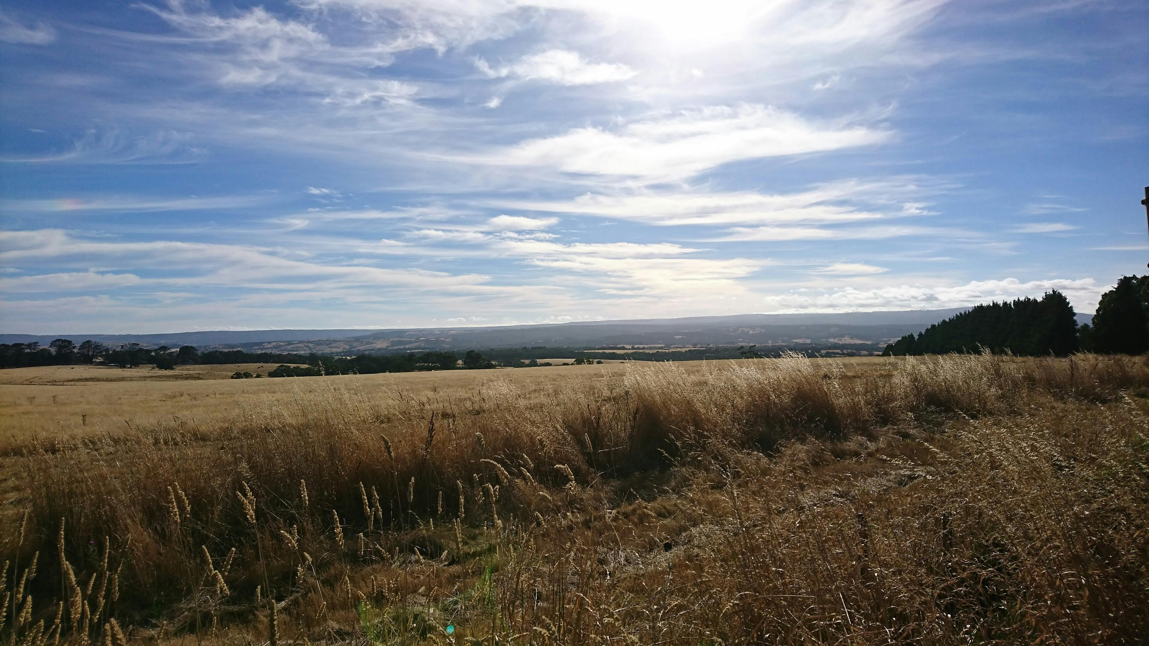 View to Mount Disappointment from Hidden Valley, Wallan