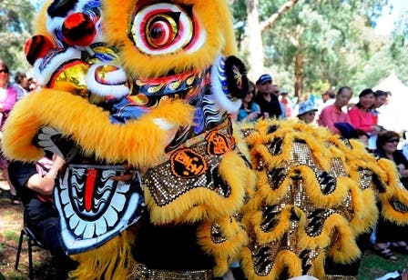 Chinese Youth Society of Melbourne Lion Dance