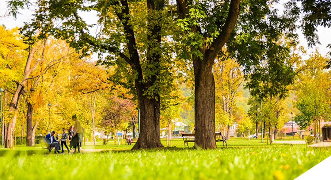 Parks