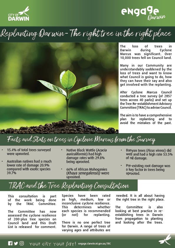 Tree Replanting Consultation Fact Sheet Revised3