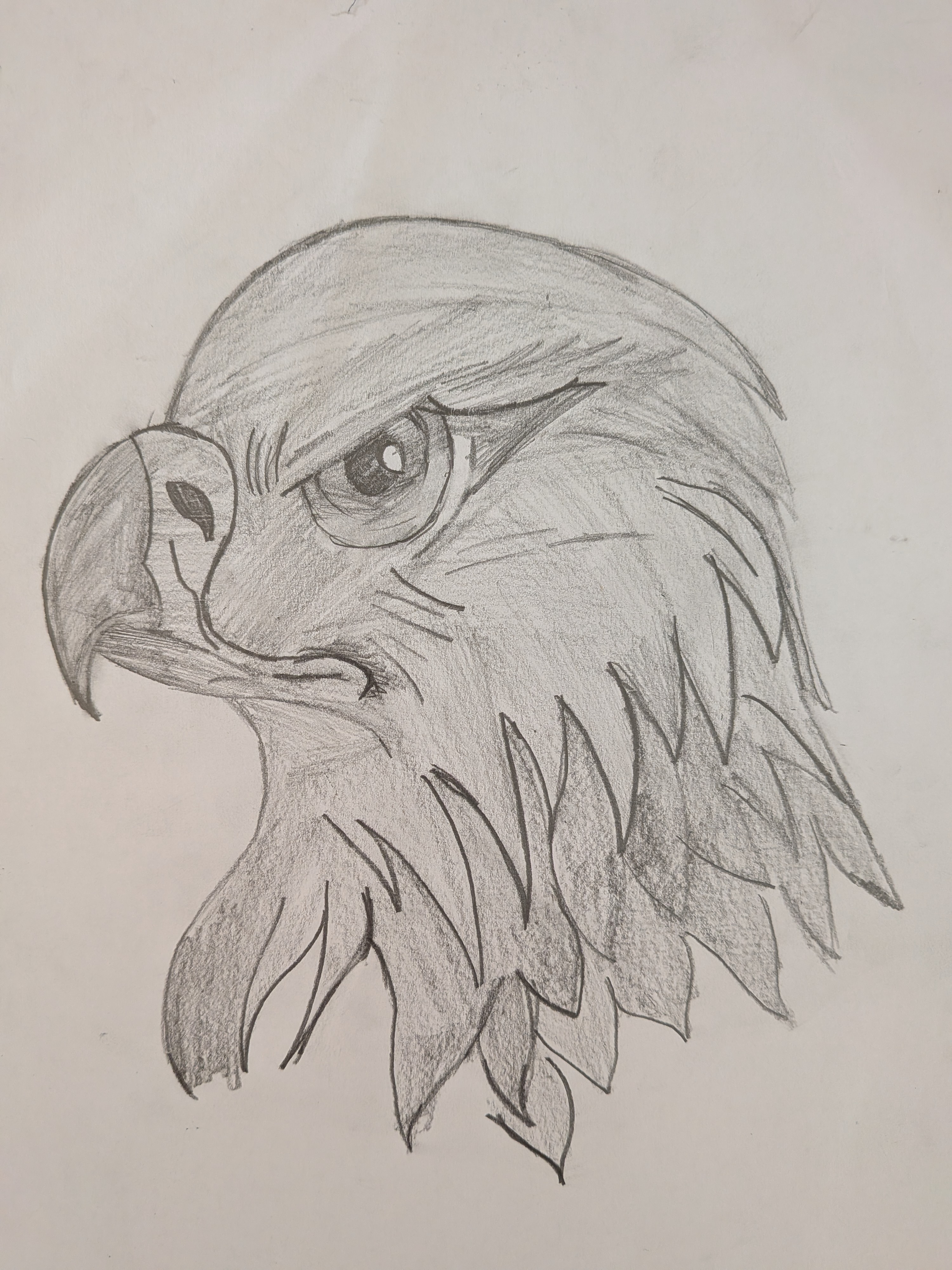 113 - Matthew Mobbs - Eagles Head