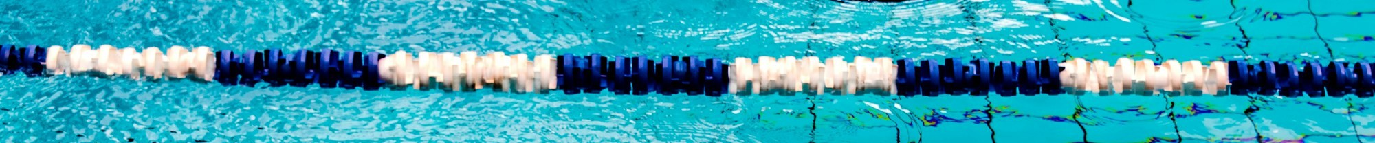 project banner