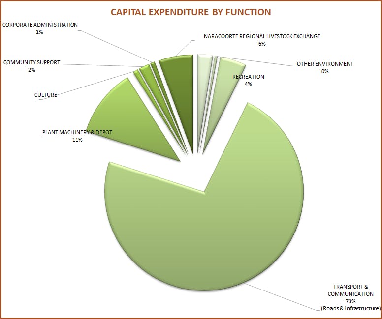 Capital Expenditure By Function 19 20