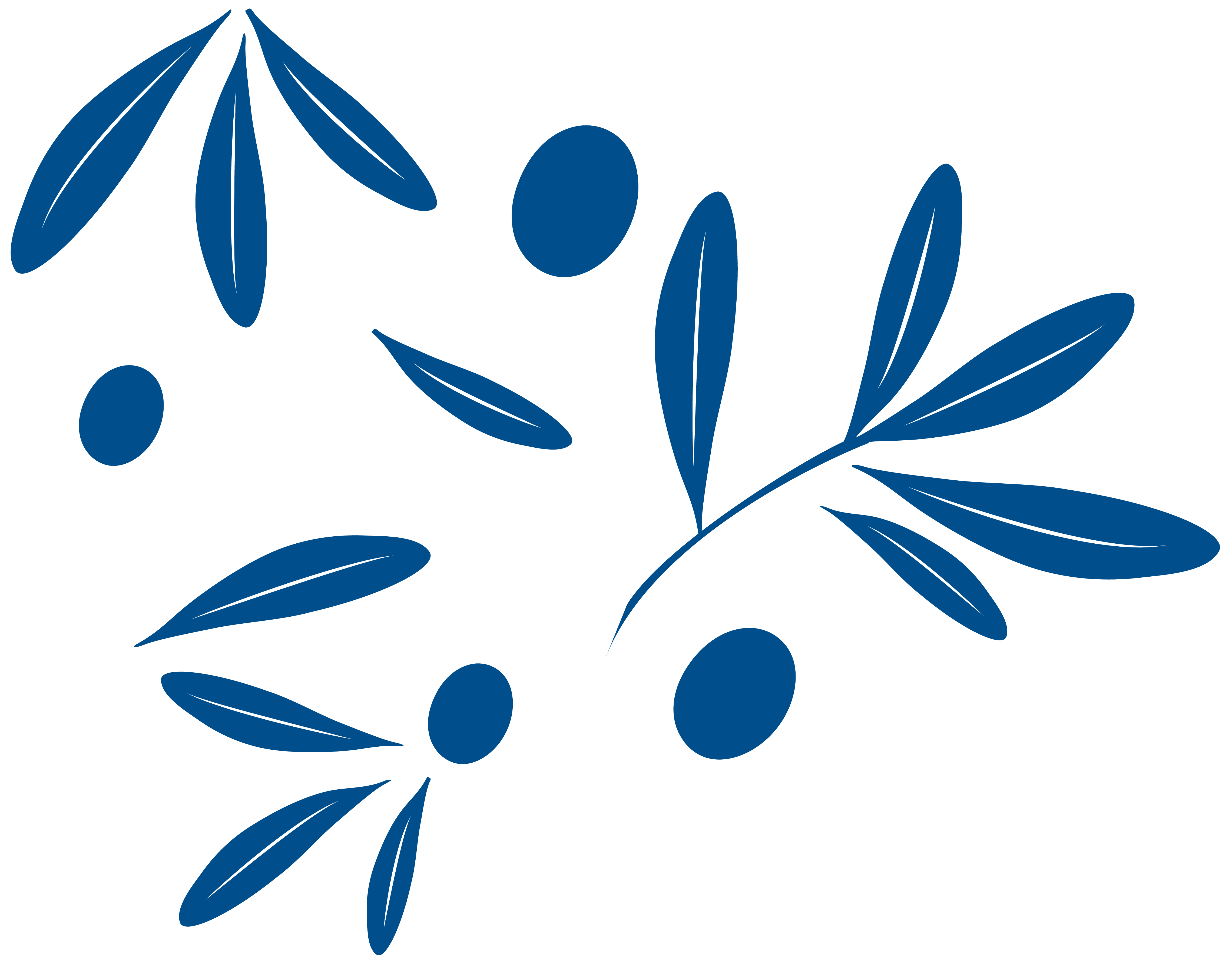 Team member, City of Subiaco