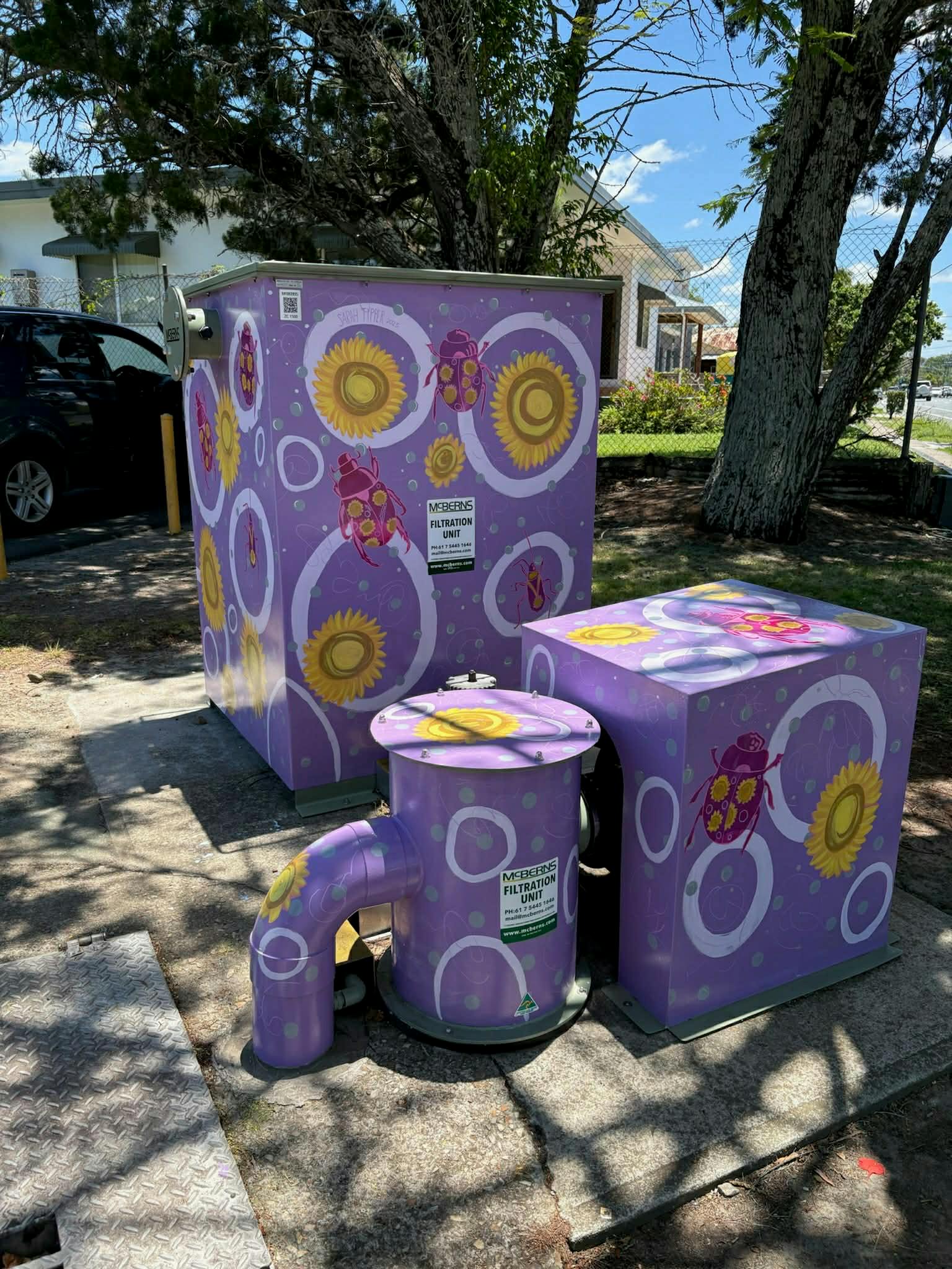 Queensland bugs - complete