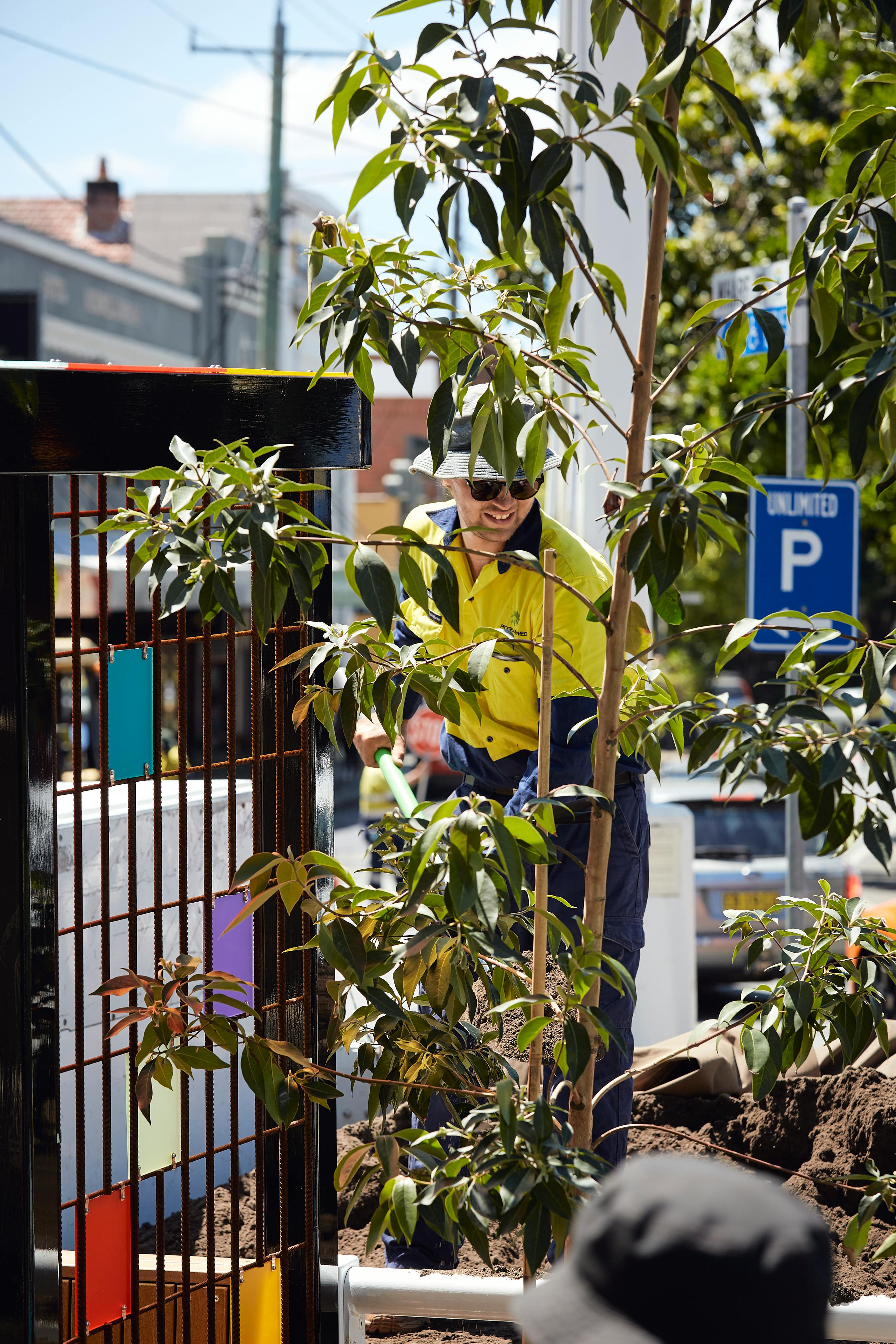 Planting at the Queen Street parklet