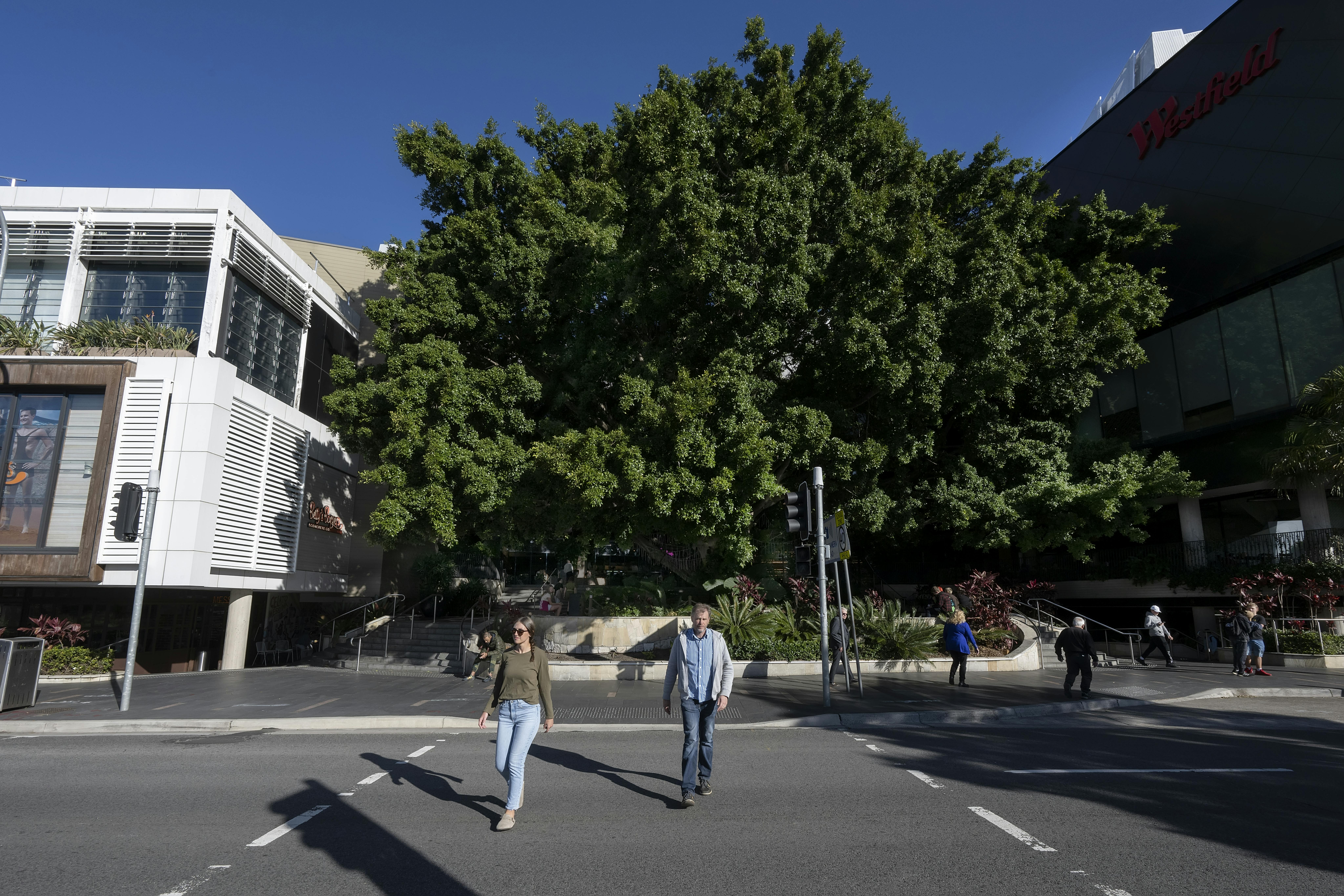 Westfield Exterior Kingsway_Miranda.jpg