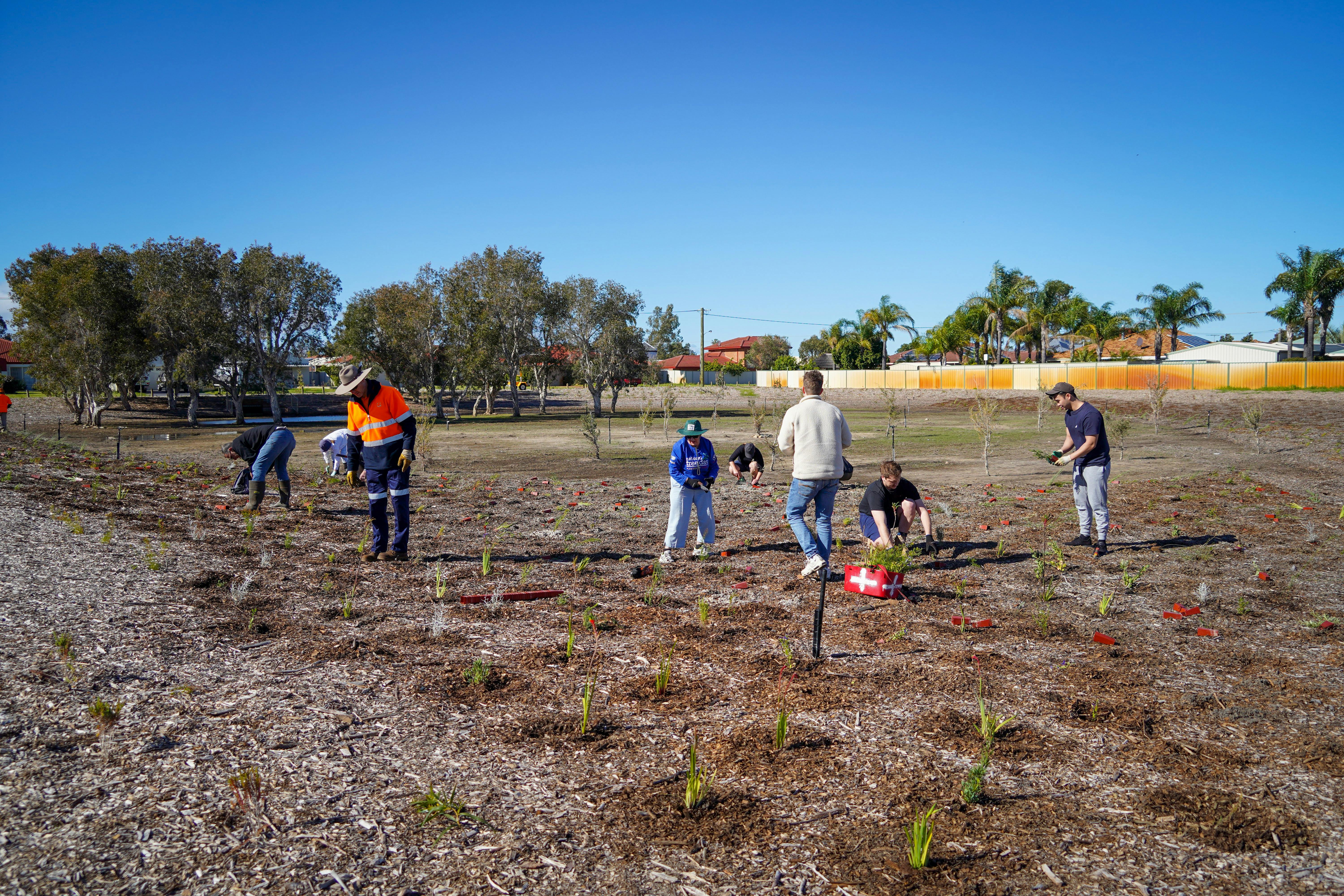 Groundlark Park Planting - Jesse Collins 15.jpg