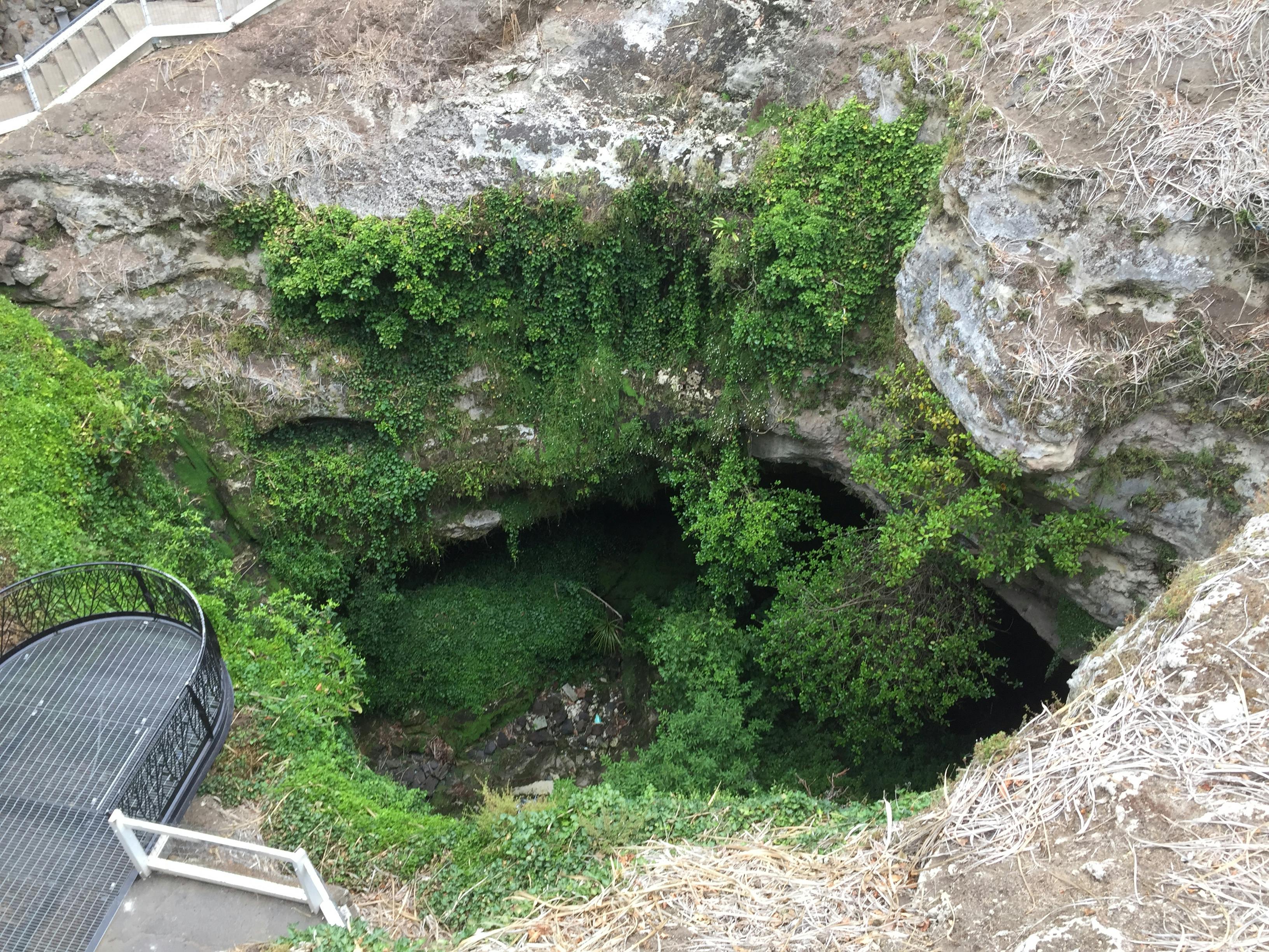 Looking down into an open limestone cave with greenery on the sides and base