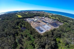 Yamba Stp Rainforest