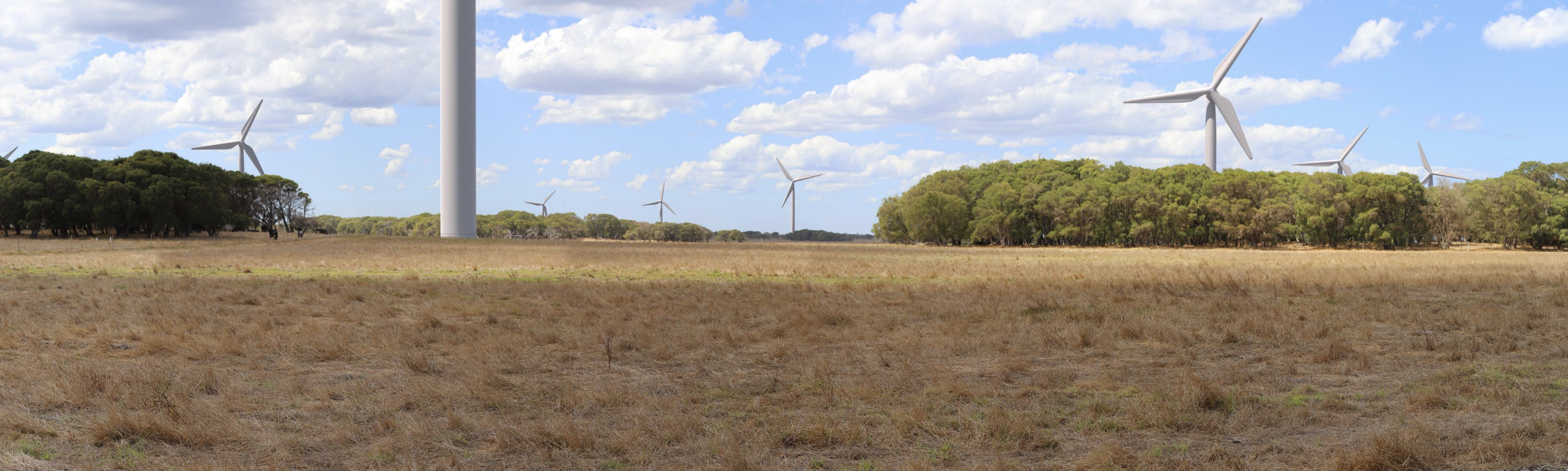 Wind farm