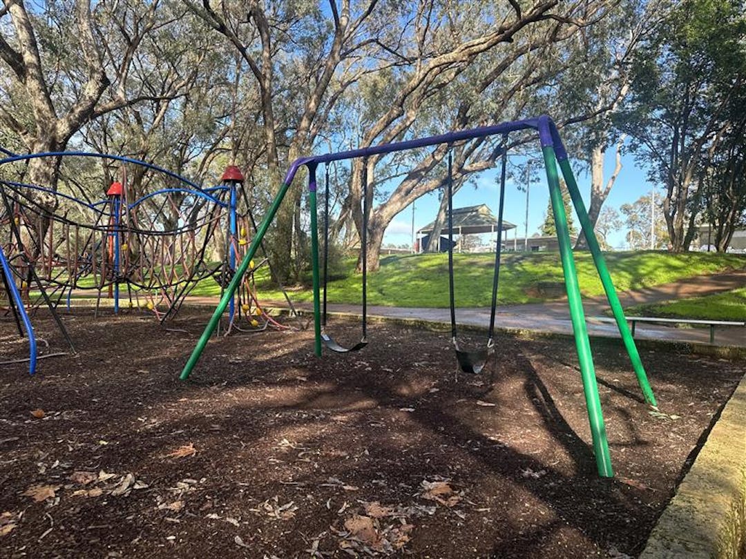 Picture of Rushton Park swings