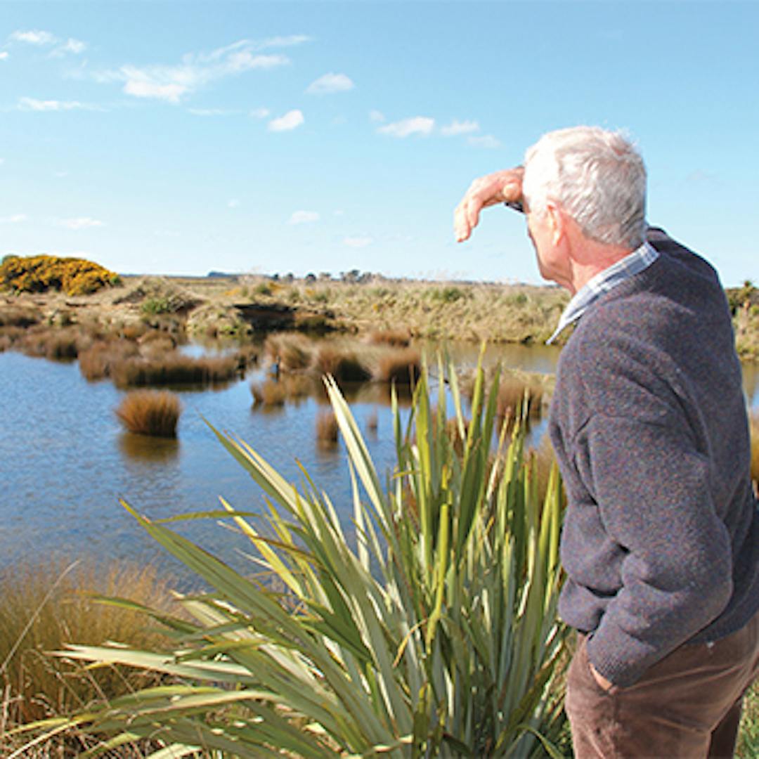 Man looks over wetland at Waituna