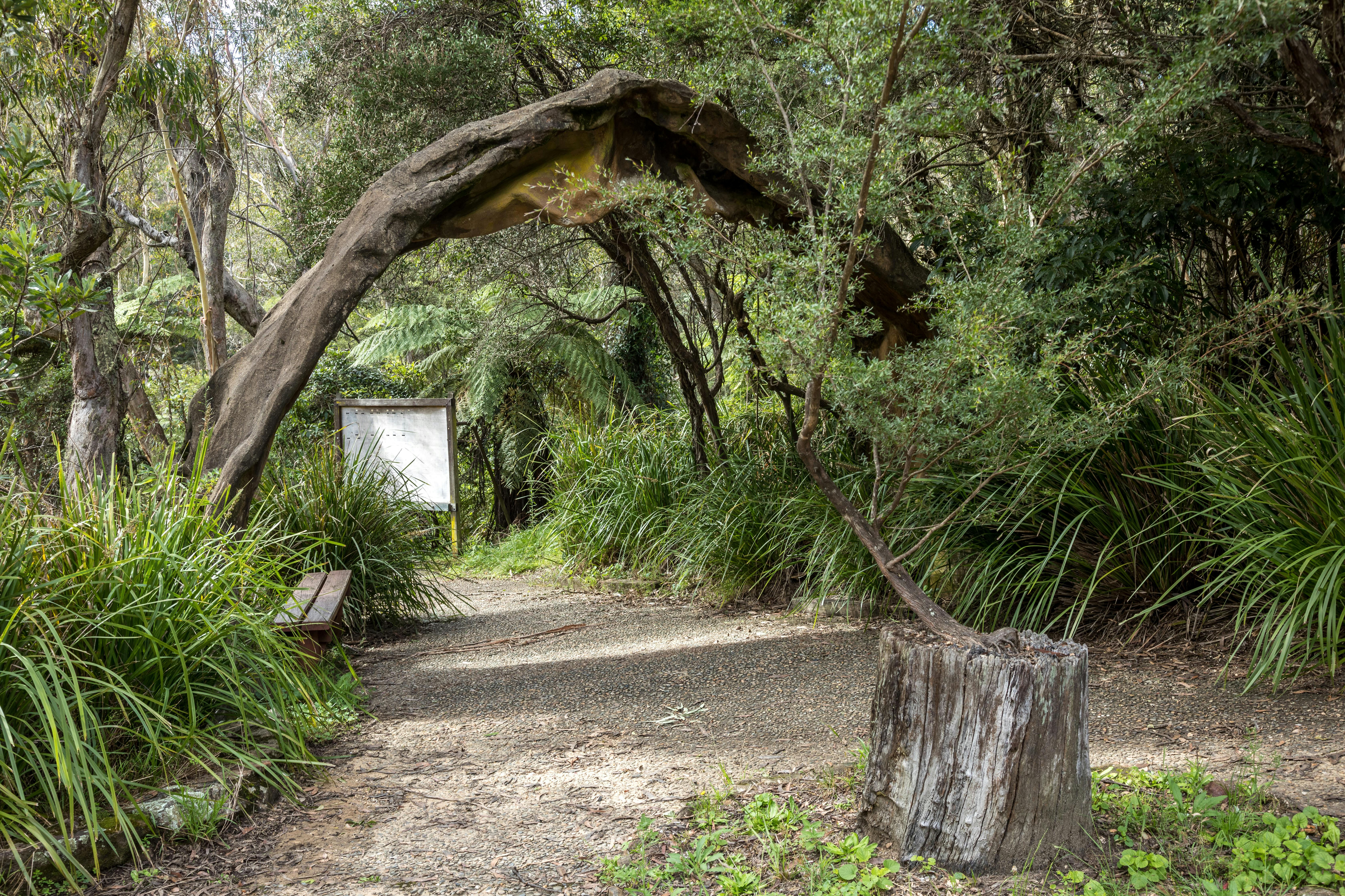 Leura Cascades Mar2021 Ian Brown hires sRGB-40.jpg