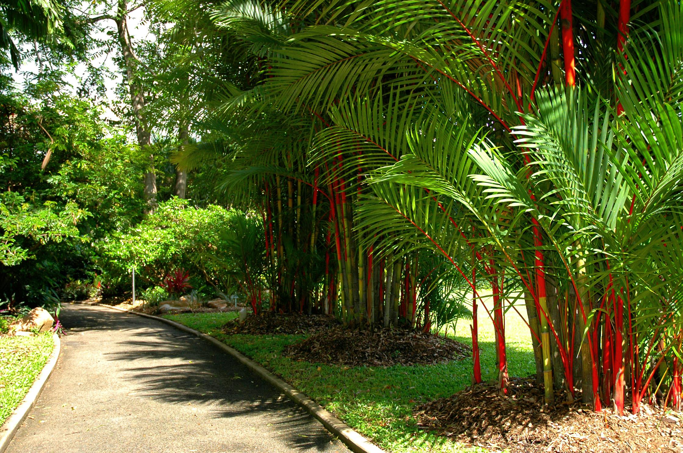  Botanic Gardens Photo Gallery