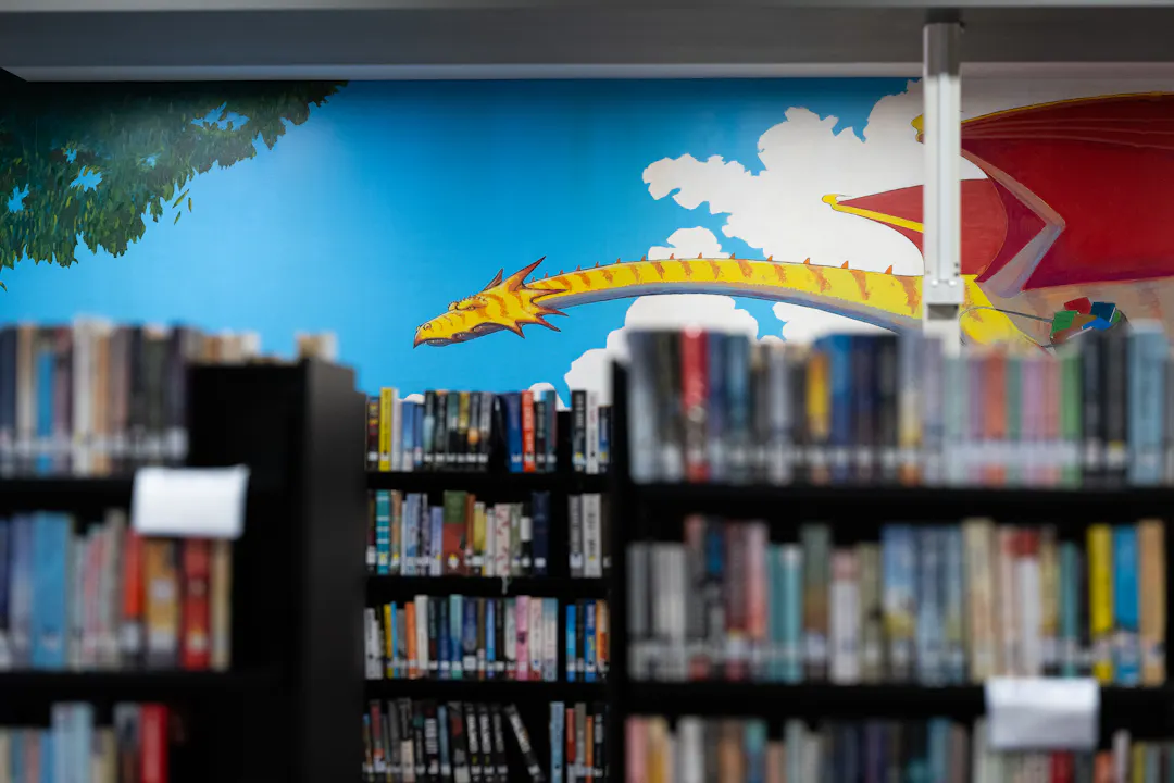 Dragon mural on wall of childrens section in Armidale Library. Books on black shelves in the forefront of image.