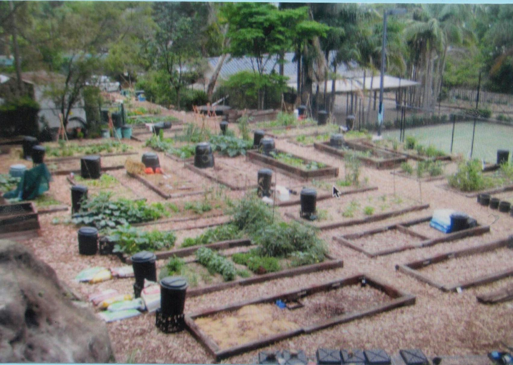2009 - Garden beds established and planting begins