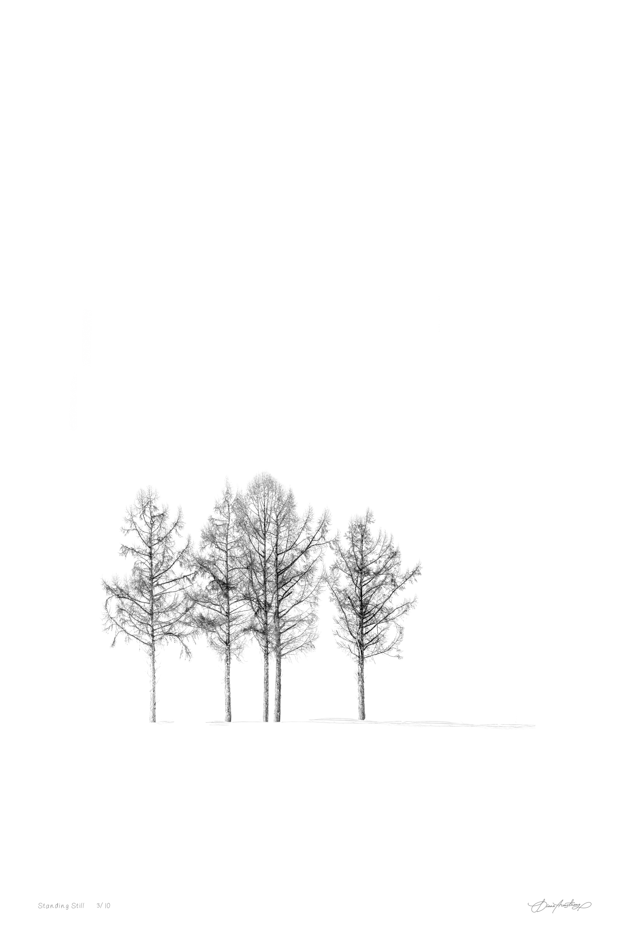 Diane Armstrong - Standing Quiet, Japan