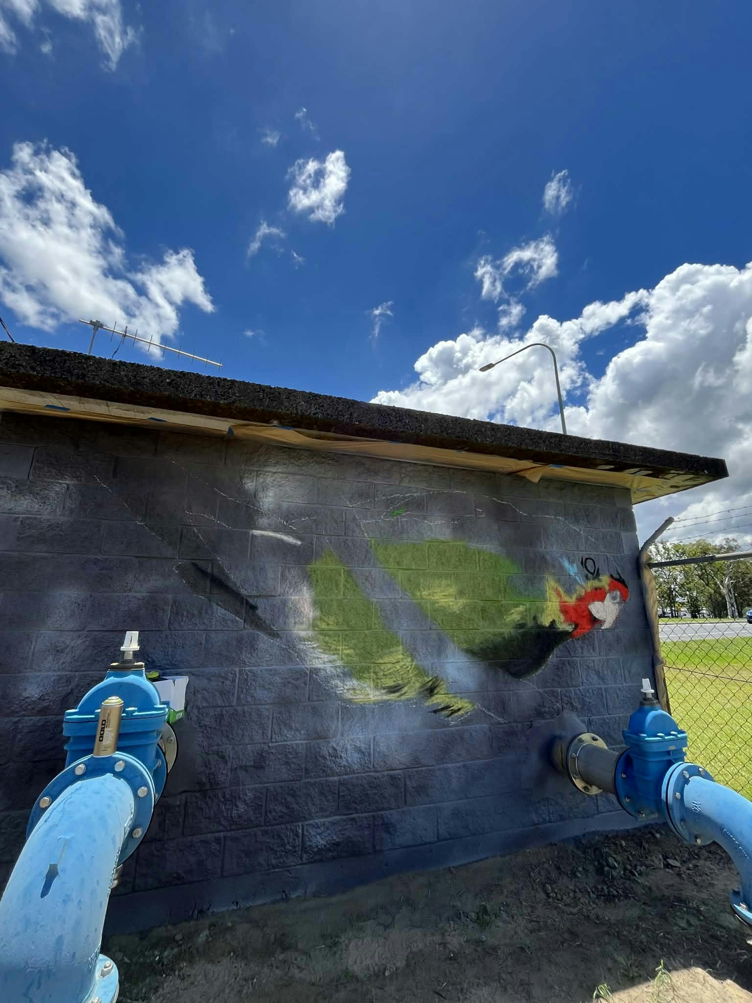 Progress photo - parrot