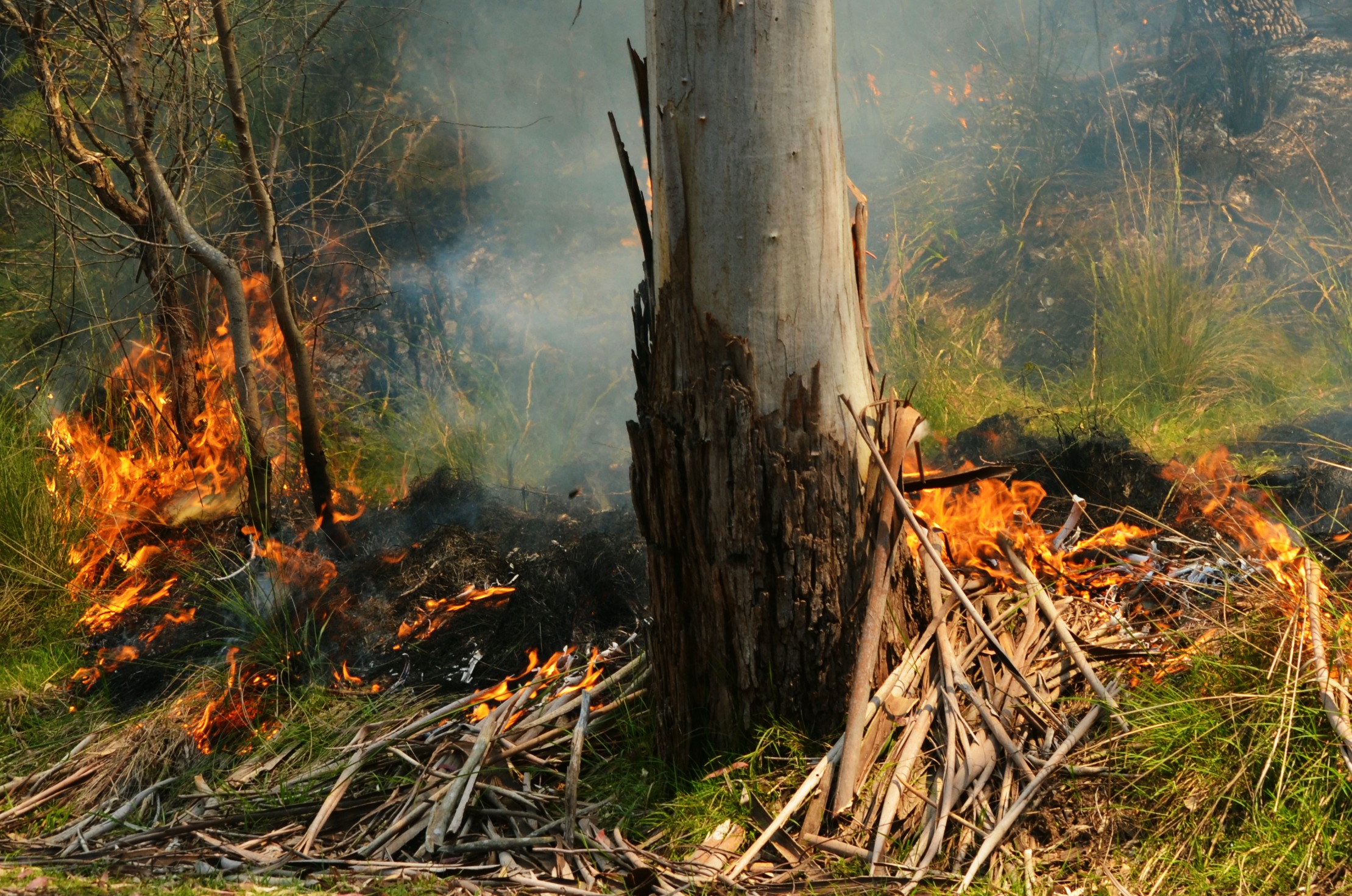 Draft Bushfire Management Strategy 2015-2025 | Your Voice Your Launceston