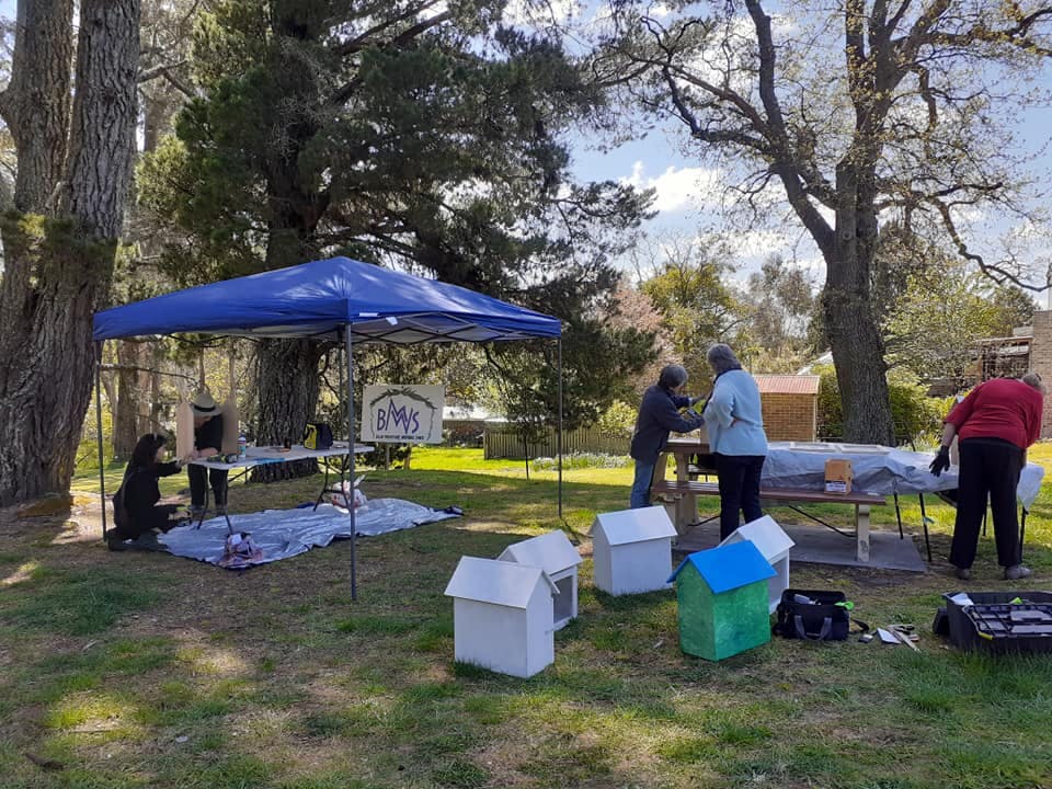 kids say blue mountains have your say