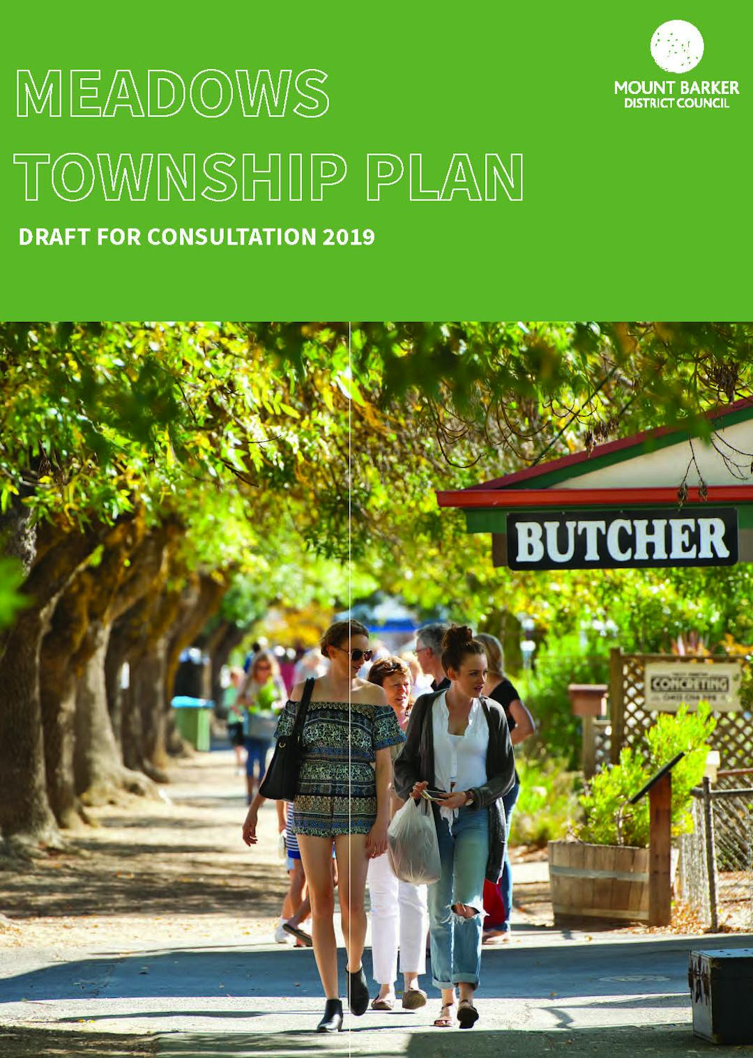 Draft Meadows Township Plan Front Cover