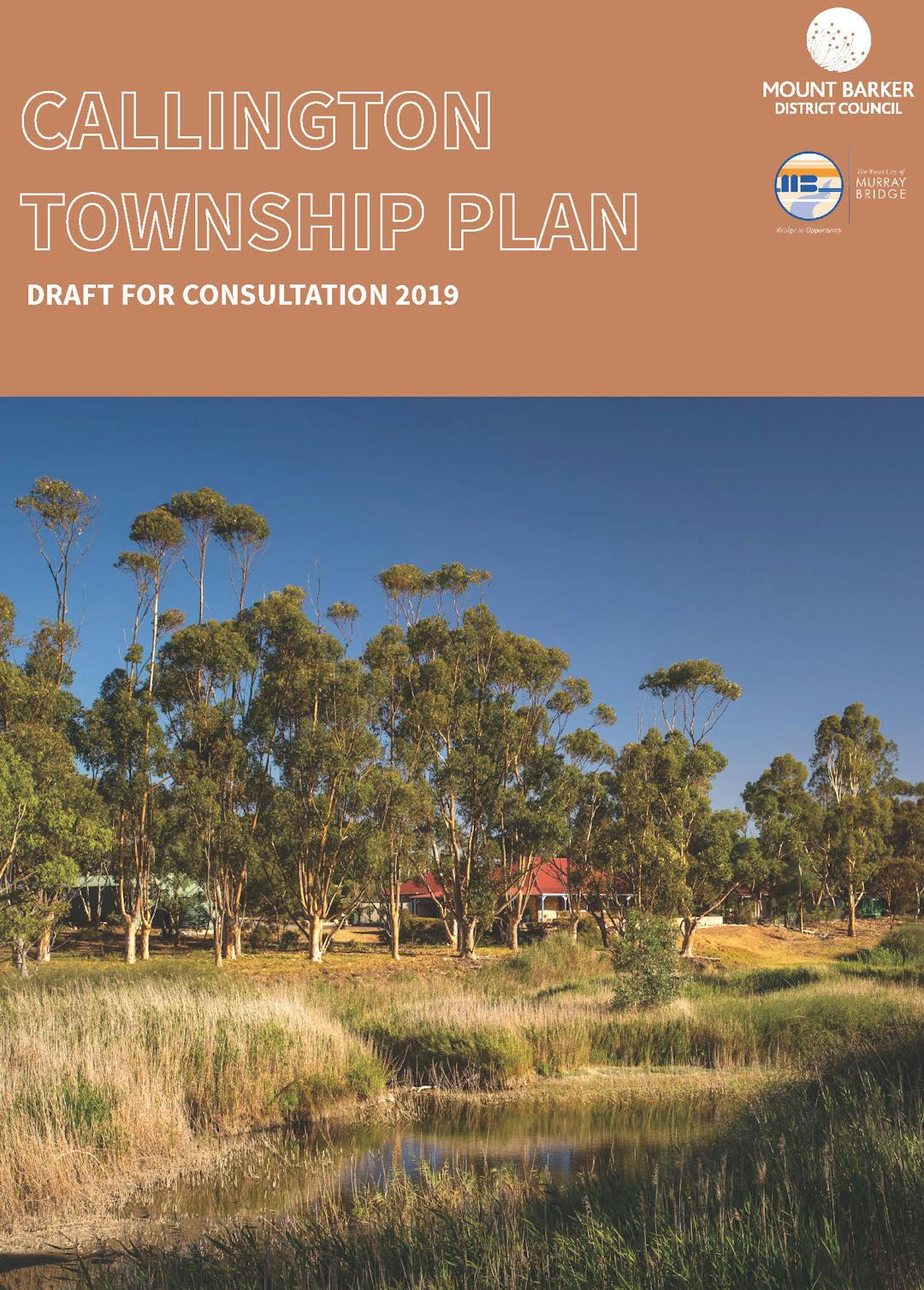 Draft Callington Township Plan Front Cover