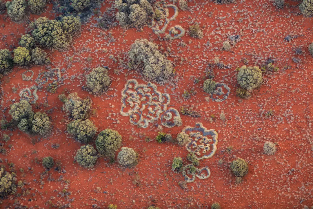 EPBC Act Review Have Your Say Agriculture Water And The Environment