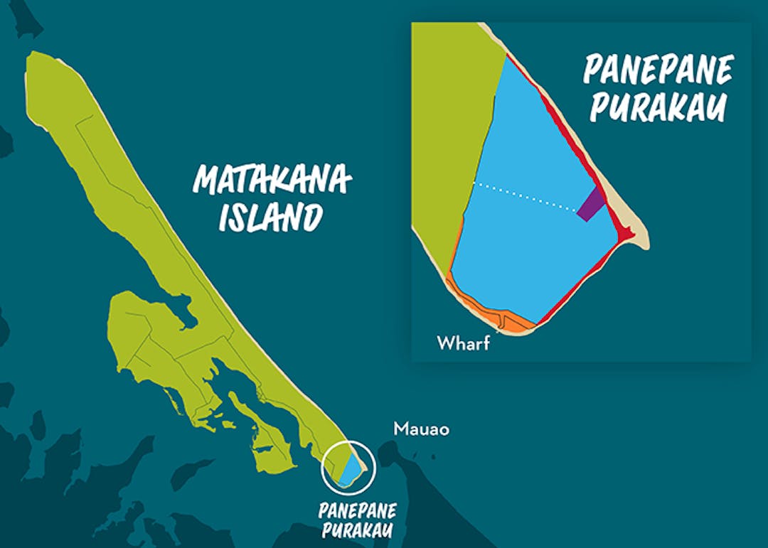 Panepane map showing the proposed area to be returned to local hapu.