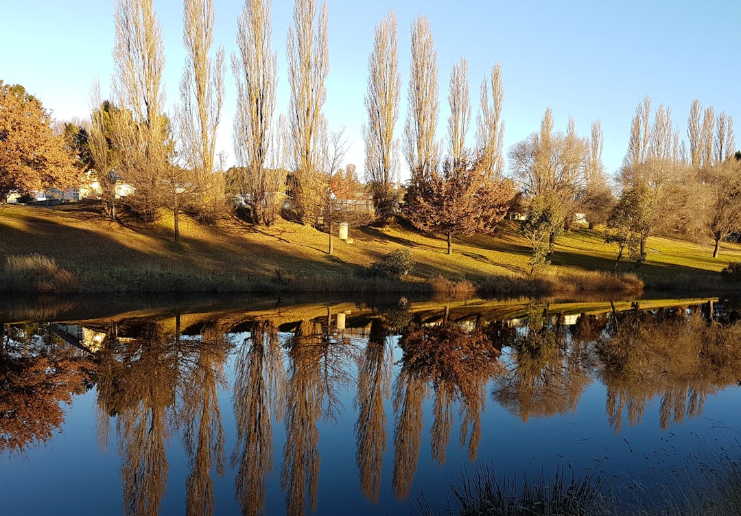 The Bombala River is one of a number of beautifal spots in town. 