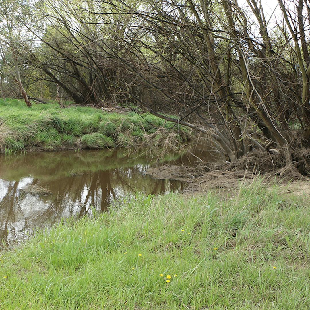 Photo of Turallo Creek from the Emslea crossing