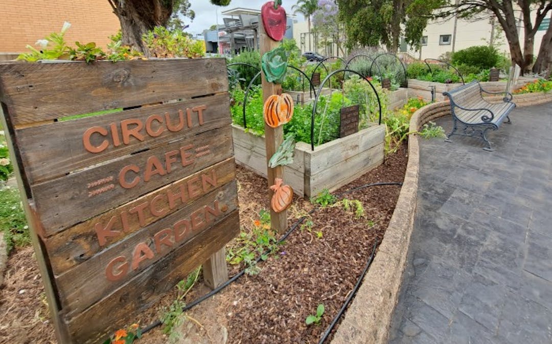 The Unley Community Centre Kitchen Garden provides fresh, seasonal ingredients for the Circuit Cafe meal service.