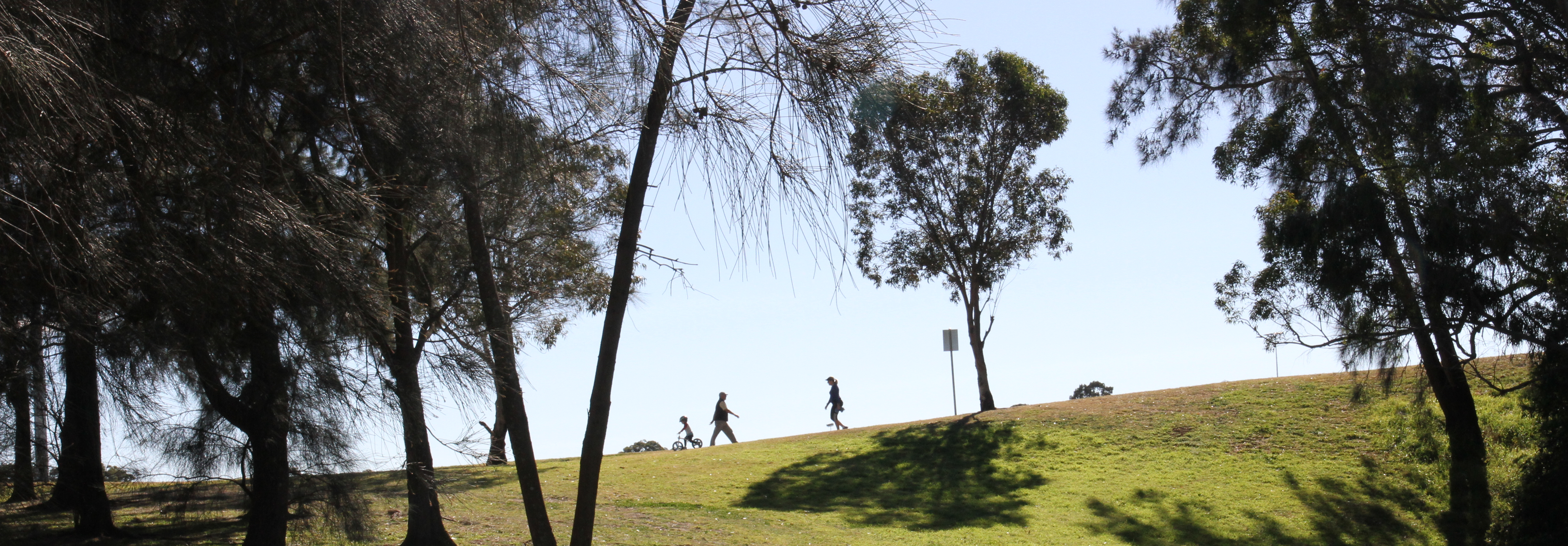 Walkers in a park, amongst trees