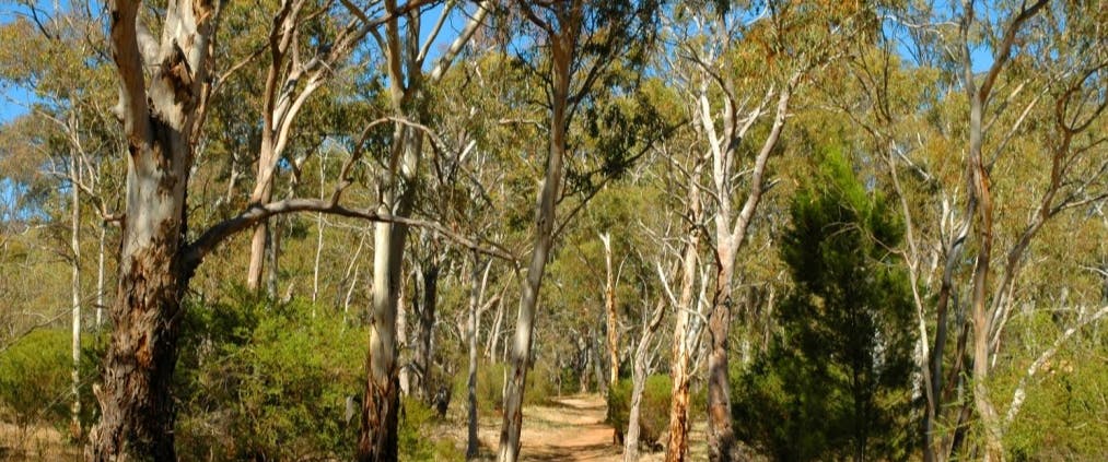 Wadmore park management Plans Banner Image