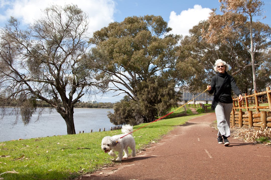 Woman walking a dog along a path by the river