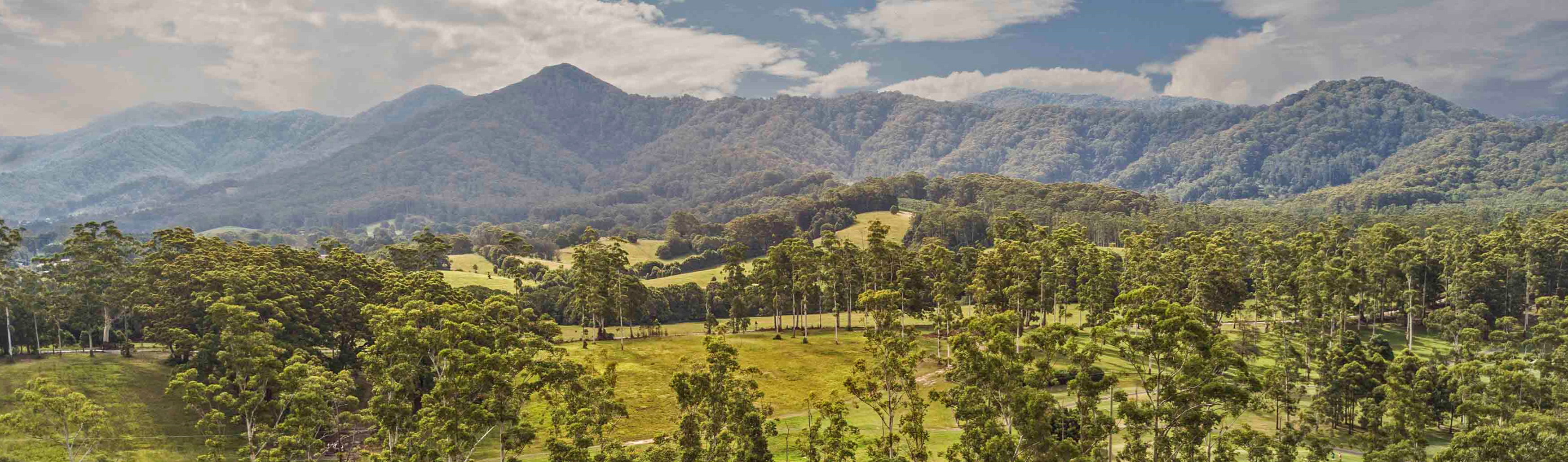 View of rural lands, Coffs Harbour