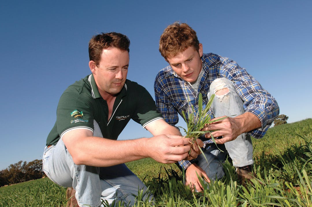 Updating ANZSCO agriculture occupations Have Your Say Agriculture