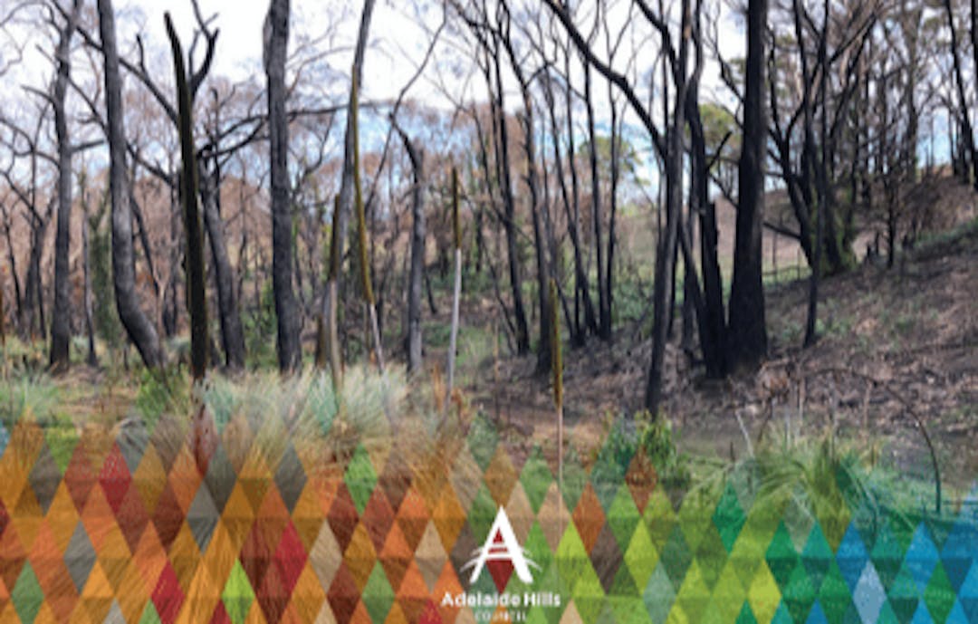 adelaide hills council annual business plan